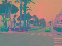 IMGP2741 edited (Medium)